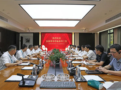 拼经济 促发展！温州湾新区党工委副书记谢忠诚率队赴集团开展调研督导活动